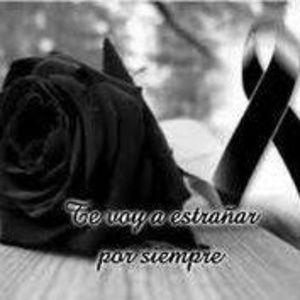 Meet your Posher, Socorro